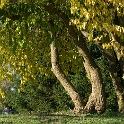 Scenery Montville Duchek 2152